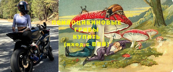 прущие крисы Вязники