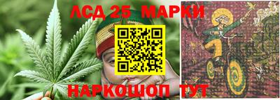 Альфа ПВП Апшеронск