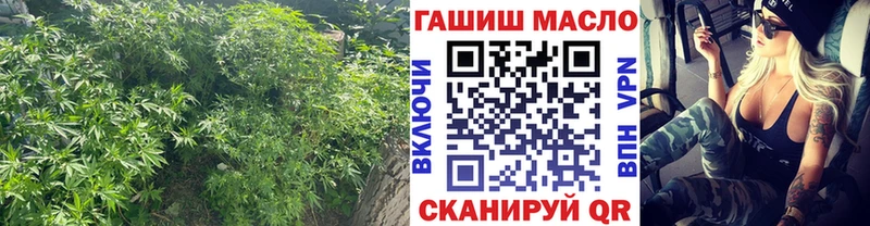 ТГК вейп с тгк  omg рабочий сайт  Ачинск 