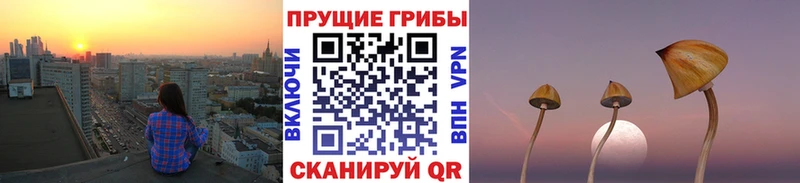 Галлюциногенные грибы Psilocybe kraken рабочий сайт Ачинск