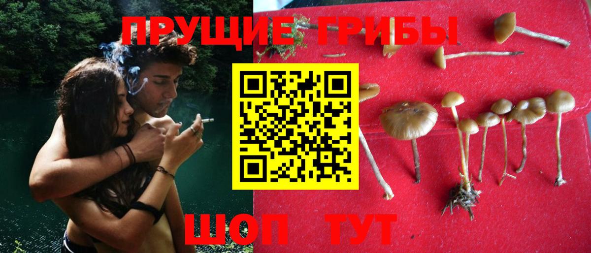 Псилоцибиновые грибы ЛСД  Вход с VPN  Ачинск 