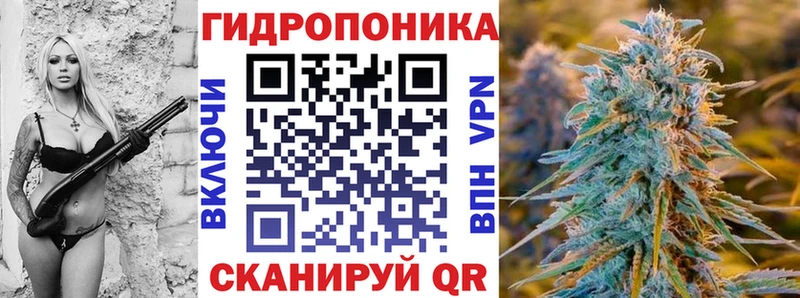 Каннабис планчик  Ачинск 